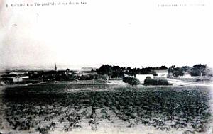 Saint cloud 615